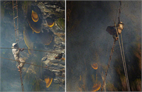 Uçurumların tehlikesinin yanında bir de dünyanın en büyük bal arısı olan 3cm ye kadar büyüyebilen Himalaya bal arılarıyla da karşı karşıyalar