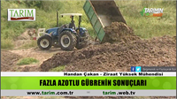 Fazla Azotlu Gübrenin Sonuçları