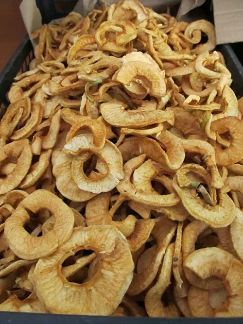 Armut kurusu vitamin bakımından çok zengindir Böbreklerin düzenli çalışmasını sağlar İdrarı bollaştırır Böbrekteki kum ve taşlarının dökülmesine yardım eder Yüksek tansiyonu düşürür Kanı temizler bütün salgı bezlerinin normal çalışmasını sağlar Kansızlığı giderir kabızlığı önler Sinirleri yatıştırır Zihni yorgunluğu giderir Susuzluğu keser Tükürük ifrazatını artırır Hamilelerin kusmalarını azaltır Hazımsızlığı giderir Şeker hastaları da yiyebilir Midesi zayıf olanların kompostosunu içmeleri gerekir Yemeklerden önce yenecek olursa faydasından daha da fazla artar