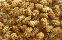 Kuru dut İyi bir kan yapıcı ve ateş düşürücü olarak yüzyıllardır kullanılan kuru dut vitamin deposudur Günde bir avuç yiyerek kendinizi daha zinde ve enerjik hissedebilirsiniz Ayrıca kuru dut ağız kokusunu da yok eder