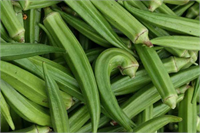 2 Ülseri önlemede önemli bir etkisi olan bamya sindirim sistemindeki asidi nötralize eder