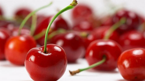 Vişne Düşük kalorili bir meyvedir Antioksidan özellik göstermektedir İçindeki melatonin sayesinde kan beyin bariyerini hızlıca geçerek nöronsinir sisteminde etkilidir Uykusuzluk ve baş ağrılarını hafifletmeye yönelik faydaları bulunmaktadır
