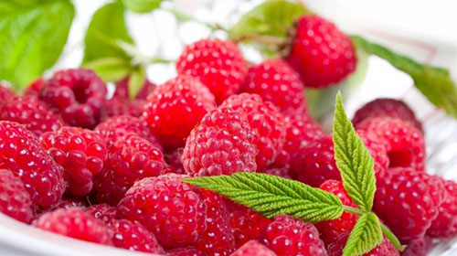 Ahudu Frambuaz C E ve K vitamini folik asit potasyum bakır mangan mineralleri lif açısından zengin bir meyvedir Antioksidan özelliği sayesinde kansere karşı koruyucu etki gösterir Kalp sağlını koruyucu ve kan sulandırıcı özelliği bulunmaktadır