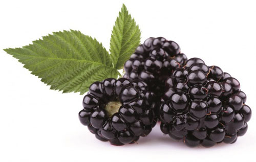 Kara dut Flavonoidler açısından zengindir Flavonoidler kanserojen maddeleri etkisiz hale getirir hücre çoğalmasını hücre bölünmesi düzeyinde duraklatır Ayrıca içinde C B ve K vitamini diyet lifi ve demir içerir İçerdiği demir sayesinde bağışıklık sistemini güçlendirerek kan yapımını arttırır
