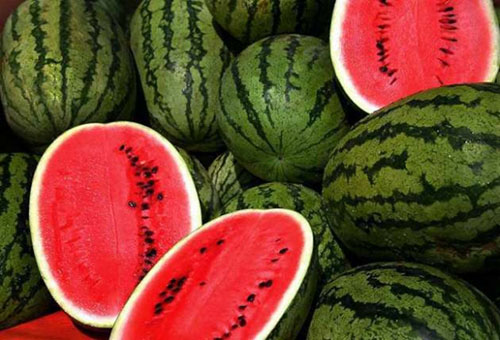 Kalp Sağlığı Karpuz kötü kolesterol olarak bilinen LDL kolesterolü düşürerek kalp hastalıklarının önünü açan yüksek kolesterole bağlı damar tıkanıklığını engelleyebilir Purdue Üniversitesi tarafından yapılan araştırmaya göre düzenli olarak karpuz ve karpuz suyu tüketenlerin kötü kolesterolü tüketmeyenlere oranla 50 daha az Ancak bu araştırmadan karpuz kolesterolü düşürür sonucunu kesin olarak kabul etmek pek mümkün değil çünkü araştırma henüz sadece laboratuvar hayvanları üzerinde yapılmış Karpuzun kolesterole etkisinin netleşmesi için insanların katılımıyla yapılacak daha çok sayıda araştırmaya ihtiyaç duyulmaktadır