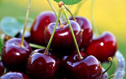 Kilo Kontrolü 100 gram kiraz ortalama 60 kalori içerir 1 dilim beyaz ekmeğin 80 90 kalori olduğunu düşünürsek özellikle kilo vermeye çalışırken lezzetli atıştırmalık seçenekleri arasına kirazı rahatlıkla ekleyebilirsiniz Kirazın 75 i sudur ve midenizi daha az kaloriyle daha kısa sürede doldurmanızı sağlar Besin lifi bakımından zengin olması ise daha uzun süre tok hissetmenize yardımcı olur Burada dikkat edilmesi gereken kritik nokta tüketilen kirazın miktarıdır Çünkü kirazın kalorisinin büyük bir miktarı şekerden gelir ve fazla tüketildiğinde diyetinizi olumsuz yönde etkileyebilir