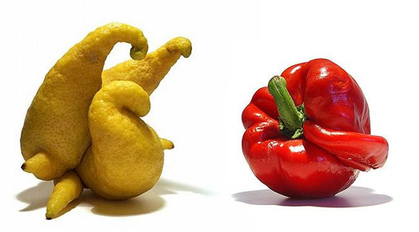 Sitokininler Meyve kalitesini arttırmak amacıyla pahalı olduğu için çok nadir olarak kullanılmaktadır İnsan sağlığı ve metabolizmasını olumsuz yönde etkilemektedir