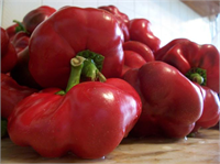 Gibberellinler Meyve tohumlarının çimlendirilmesi ve bitki gelişimini teşvik gibi amaçlarla kullanılmaktadır Aşırı miktarda ve bilinçsiz kullanımında ise şekilleri bozulmuş meyveler irileşmiş çilekler ve kof şekli bozuk domatesler gibi sonuçlarla karşılaşılmaktadır İnsanlarda ise akut ve kronik zehirlenmelere neden olmaktadır