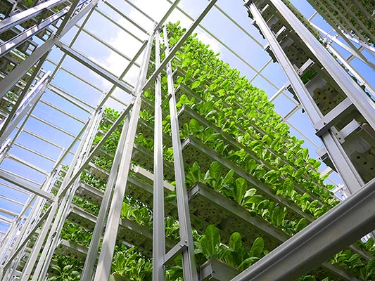 2012 yılında Sky Greens adında bir projeyi hayata geçiren Singapur 38 kat ve 120 bahçeden oluşan dünyada eşine rastlanmamış dev bir tarım gökdelenini insanlığa kazandırmış durumda