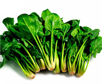 İçerisinde adeta demir deposu barındıran ıspanağın 100 gramı yalnızca 16 kalori