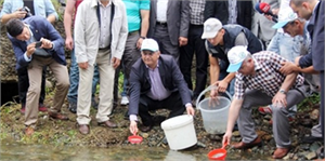 Kırmızı Benekli Alabalıklar Derelerle Buluştu