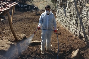 Selendi de Kuduz Vakası Görüldü