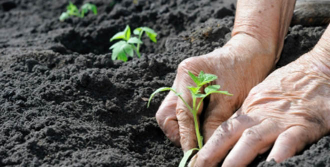 Geleceğe Tohum Atacağız