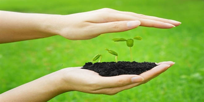 İzmir in Yerel Tohum Şenliği 12 Ekimde