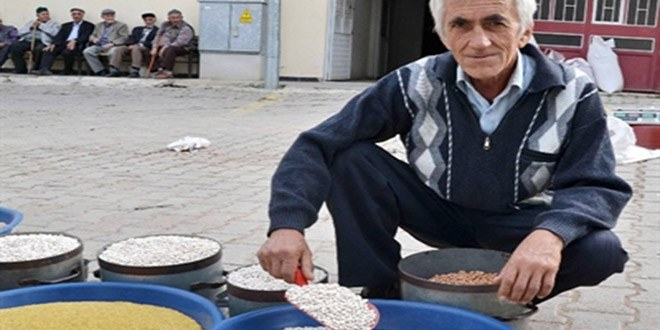Kuru Fasulyede Rekolte Üzdü Fiyatlar Sevindirdi