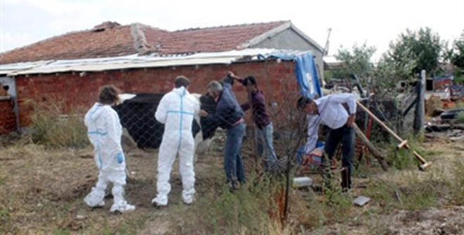 Polatlı da 162 Büyükbaş Hayvan İtlaf Edildi