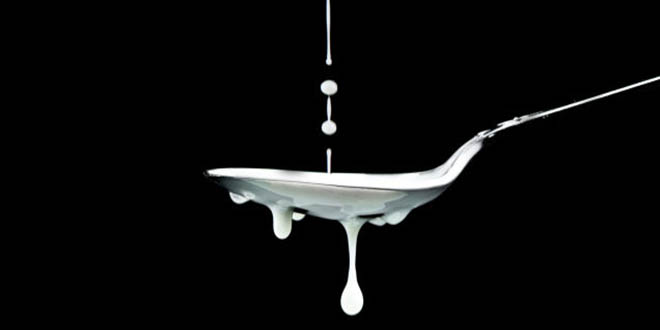 Erzurum da Süt Çalıştayı Yapılacak