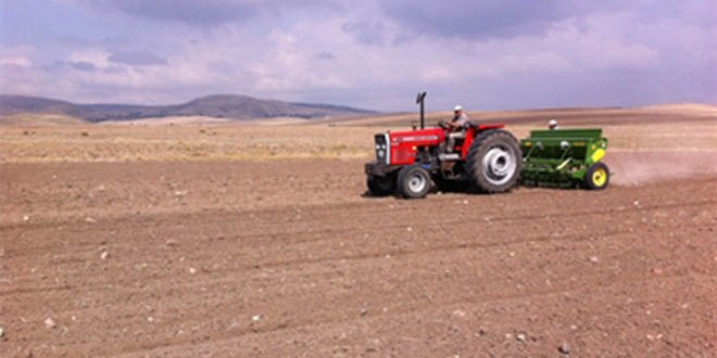 Yerköy de 500 Bin Dekar Alanda Hububat Ekimi Yapılacak