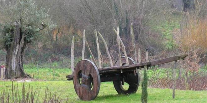 Kırklareli nde 8 Bin Yıllık Tarım Kalıntıları Bulundu