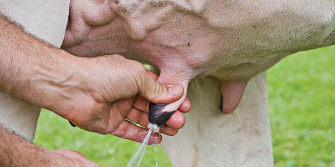 Karapınar da Çiğ Süt Üretimi Depolanması ve Taşınması Toplantısı