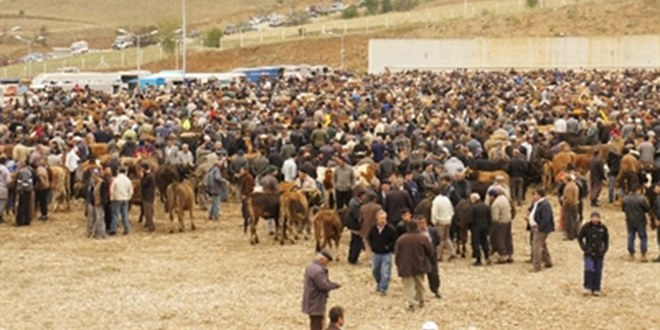 Kastamonu da Kurban Bayramı Bereketli Geçti