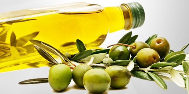 Gerze de Zeytinyağı Üretimi