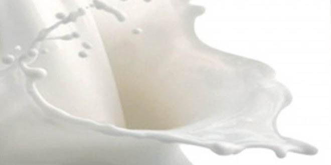 Manavgat ta 860 Yetiştirici 218 Bin 309 Lira Süt Desteği Aldı