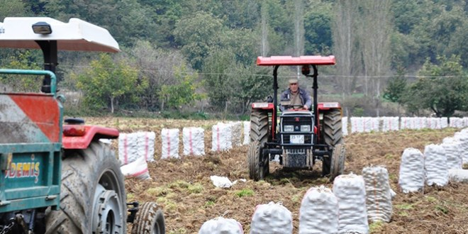 Bozdağ da Yayla Patatesi Sezonu Açıldı