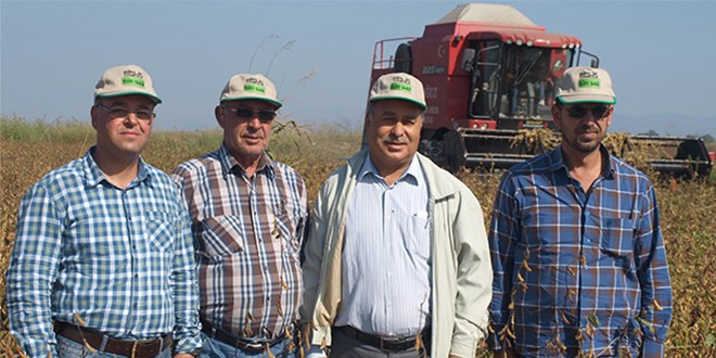 Söke Ovasında Alternatif Ürün Soya Fasülyesi
