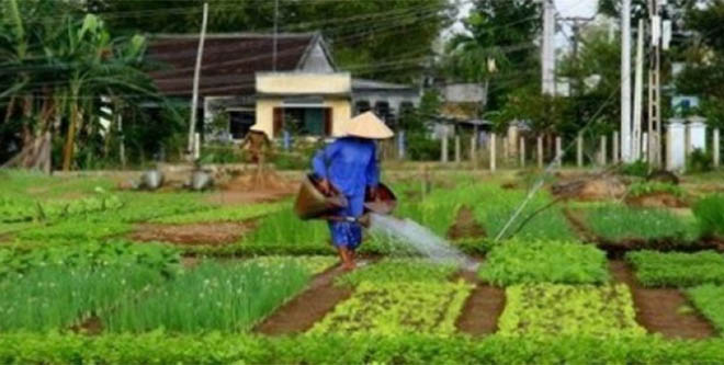 Nevşehir Göreme de Aile Çiftçiliği Toplantısı düzenlenecek