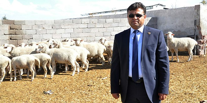 Aksaray da Hayvan Destekleme Müracaatı Başladı