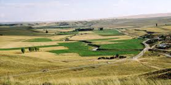 Manisa daki Tarım Arazilerinin Yüzde 60 ı İpotekli