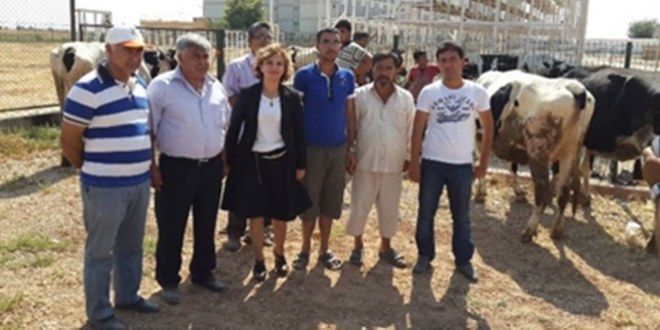 Elbeyli de Çiftçilere Süt Sağım Makinesi Dağıtıldı