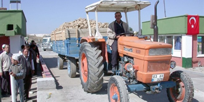 Pancarda Şeker Oranının Düşmesi Mevsimsel Değişiklik