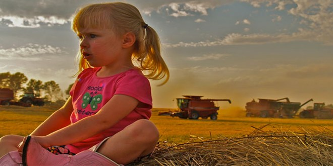 Dünyadaki çiftliklerin 500 milyondan fazlası aile çiftçileri tarafından yönetiliyor