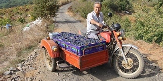 Bayındır da Üretim Yolları Hasatı Kolaylaştırdı