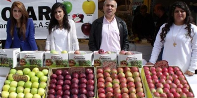 Göksun da 3 üncü Elma Festivali