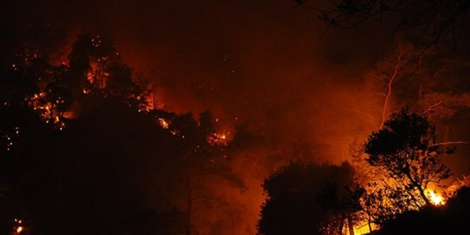 Muğla daki Yangınlarda 52 Hektar Alan Zarar Gördü