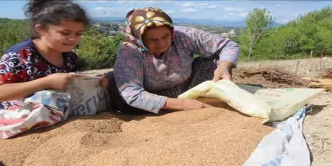 Yaz Bereketini Kış Sofralarına Taşıma Telaşı