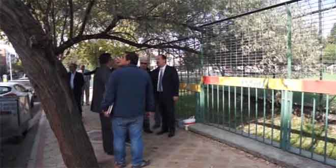 Ağaçlar Uzman Heyetin Kararına Göre Kesilebilecek