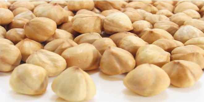 Fındık Fiyatlarında Don Etkileri Tezgaha Yansıyor