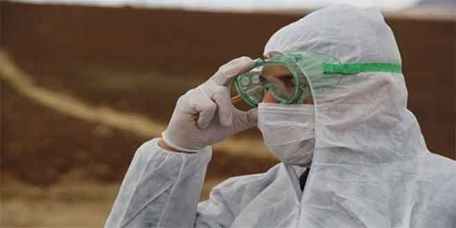 Kars ta Afrika Hastalığı Şüphesi