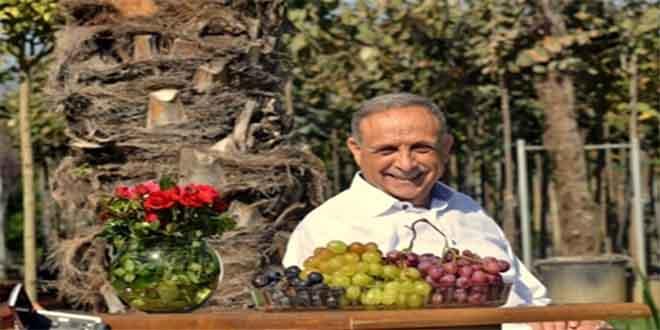 Ödemiş 10 Süs Bitkileri ve Fidancılık Sergisi ile Şenlenecek