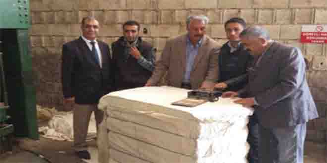 Urfa Pamuğu Kalite Standardını Yakaladı