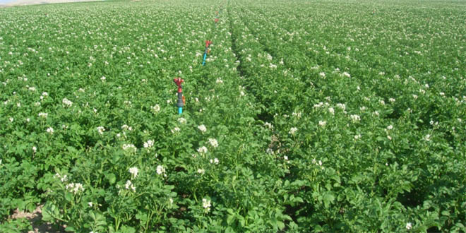 İzmir 2023 Hedefine Ulaşmak İçin Tarıma Destek İstedi