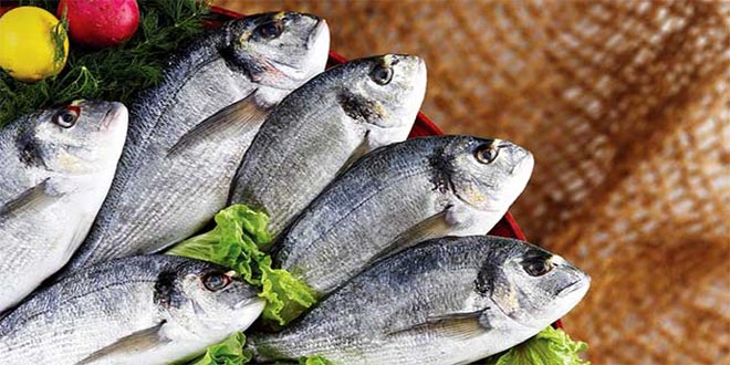 Fransızlar Türk Balığına Fransız Kalmadı