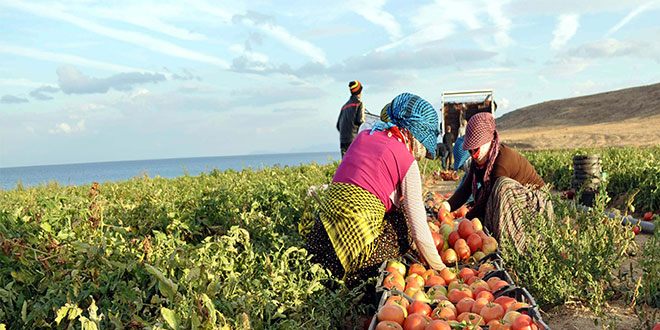 Büyükşehir den Tarıma BÜYÜK Destek