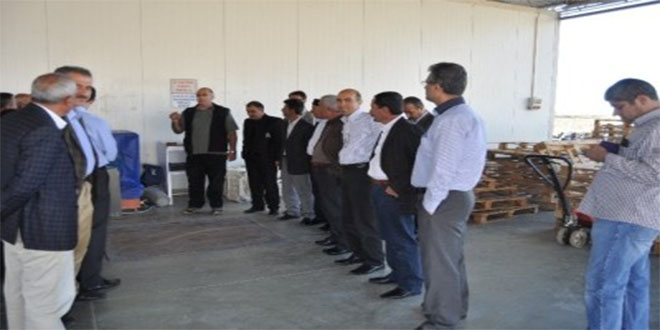 Batman lı Çilek Üreticileri Silifke Çileğini İnceledi