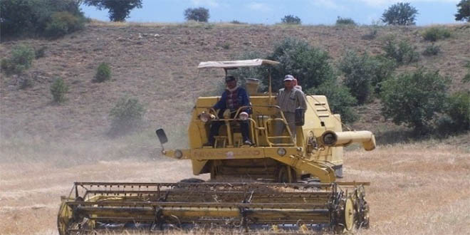 Beyşehir de Biçerdöver Kontrolleri Dane Kaybını En Aza İndirdi