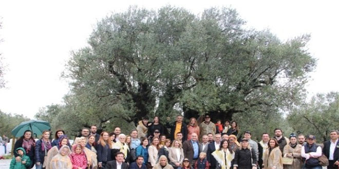 Zeytinin Başkenti Akhisar Hasat Şenliği ile Coştu